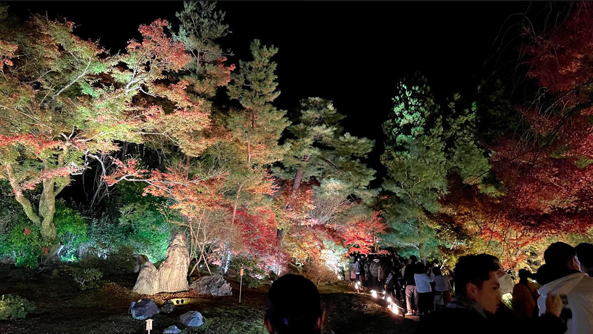 Đi ngắm lá đỏ cùng mọi người trong kí túc xá Kyoto cuối năm 2020